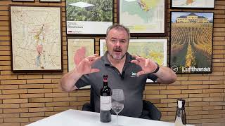 Wine Review Mondot Saint Emilion Grand Cru 2016 [upl. by Heffron229]