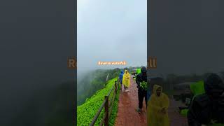 reverse waterfall besttraveldestinations maharashtratourism [upl. by Wernick911]