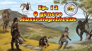 O gênero Australopithecus  Série Evolução Humana  Ep 12 [upl. by Ennael]