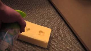 Febreze The Cheese  Gus Johnson Comedy Short [upl. by Bronez]