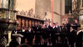 Tage wie diese  Die Toten Hosen A Cappella Vocalensemble Mittendrin [upl. by Eliza]