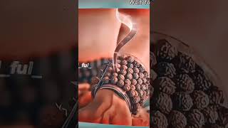 jay Bholenath🙏 shorts short video😱 [upl. by Warfore]