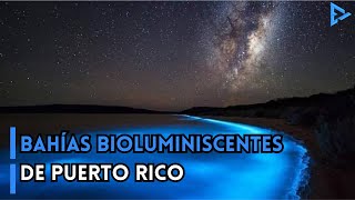 Las Bahías Bioluminiscentes de Puerto Rico [upl. by Dino]