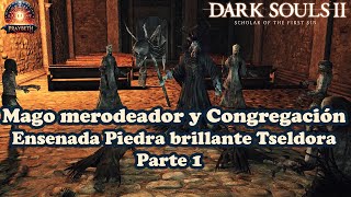 DARK SOULS 2  Mago Merodeador y Congregacion Tseldora Parte 1 darksouls2 [upl. by Buatti]