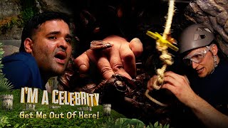 Naughty Boy and Matty face the Gruesome Gargoyles  Im A Celebrity Get Me Out Of Here [upl. by Ng725]