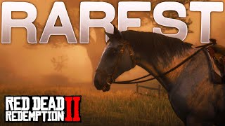 The RAREST Horse In Red Dead Redemption 2 [upl. by Lyontine735]