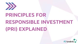 Principles for Responsible Investment PRI explained [upl. by Tace]