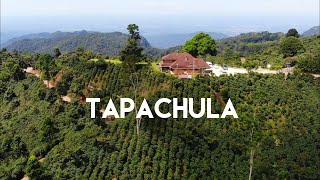 Tapachula Tuxtla Chico y la Ruta del Café en Chiapas  La puerta al Soconusco [upl. by Jany852]