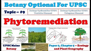 Phytoremediation Types Advantages Limitations Botany Lectures By Dr Pravin Ekade [upl. by Barcellona443]