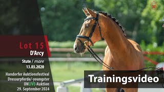 Auktionsfestival Training Lot 15 DArcy Stute v Daccord T  Vincenzo SH [upl. by Chapin132]