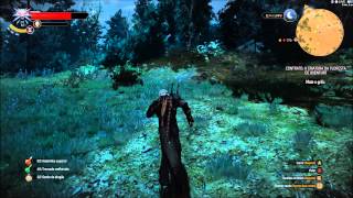 The Witcher 3 Contrato A Criatura da floresta de Oxenfurt [upl. by Somisareg]