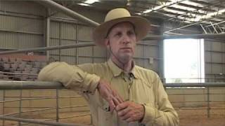 Buck Brannaman Horse Rush TV Australia Exclusive Interview [upl. by Schwinn]