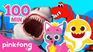 Best Pinkfong amp Baby Shark Stories 2021  Dinosaur and more  Pinkfong Stories for Kids [upl. by Rape190]