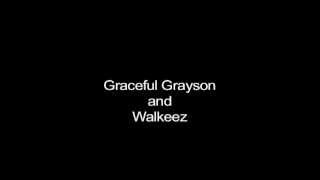 Walkeez Dog Harness Starring Grayson The Great Dane [upl. by Gnoz541]