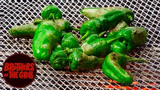 Padron Peppers [upl. by Leber463]