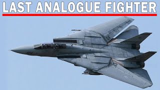 F14 The Last Analogue Fighter  The Deadly Tomcat [upl. by Aryt]