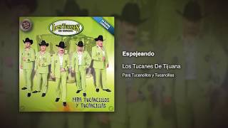 Espejeando  Los Tucanes De Tijuana Audio Oficial [upl. by Hecklau]