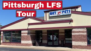 Pittsburgh Pa LFS Wet Pets and Friends An A Aquarium Fish Store Tour [upl. by Werdma]