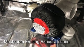 Mushroom Grow Room Exhaust Problems [upl. by Eynenihc]