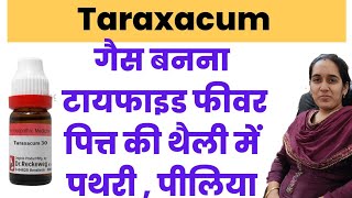 Taraxacum officinale homeopathic medicine  Taraxacum q uses in hindi [upl. by Mieka]