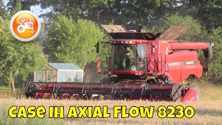 Harvest 2023  Case IH Axial Flow 8230 combine harvesting barley [upl. by Seel]