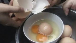 Chinese chicken lays monster egg with another egg inside [upl. by Runkle]