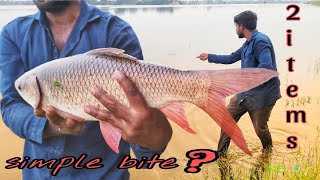 Rahu machli ka best chara  Rahu fishing with Rice polish powder bait [upl. by Otsenre]