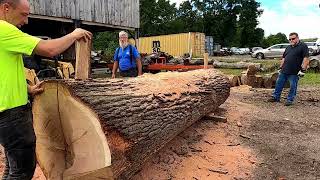 quarter sawing a monster white oak log  463 [upl. by Egoreg336]