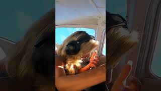 Airplane Prank GONE WRONG TOPNOTCHIDIOTS [upl. by Debarath770]