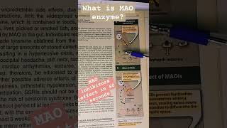 What is MAO What is MAO Inhibitors pharmacology pharmacy pharmacytechnician lippincott hindi [upl. by Kcirdneked272]