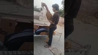 Rabab Safe Delivery923349162323 WhatsApp Numberrababshop rababforsale rababclasses shorts [upl. by Litta628]