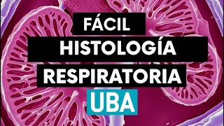 Histología Respiratoria [upl. by Assilen366]