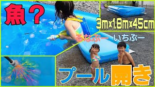 【プール開き】3mプールで子供達 大ハシャギ 魚？ザリガニ？獲ったど～！ [upl. by Melba140]