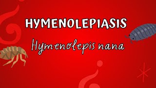 Hymenolepiasis  Hymenolepis nana [upl. by Adnilab]