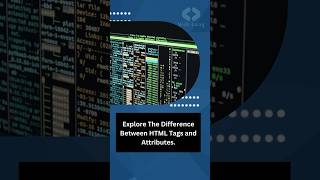 Learn HTML Tags Vs Attributes html css shorts short html5 css3 shortvideo shortsfeed reel [upl. by Rennug677]
