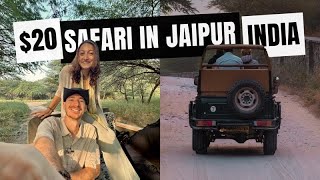 India Diaries  20 Leopard Safari in Jaipur India [upl. by Nnov654]