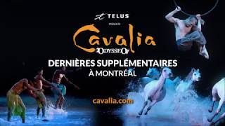 Cavalia Odysséo à Montreal  Dernières supplémentaires [upl. by Schellens743]