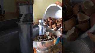 Coconut oil making in factory  Mr Shubhu making shorts [upl. by Necaj]