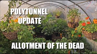 Polytunnel Update [upl. by Ateiluj]