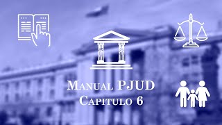 Capítulo 6 Procedimientos ante los Juzgados de Familia  Manual único para Tribunales [upl. by Creedon]