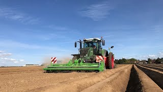 Plantation de pomme de terre chez lETA MANOLI  Fendt 824 avec fraise amp planteuse AVR [upl. by Lengel345]