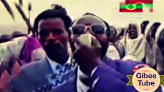 New Mogoro Jifar Oromo Music  Nadhii Gammadaaquot2019 [upl. by Ado706]