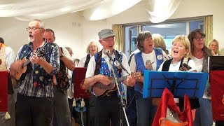 Newton Abbot Ukulele Club  Folsom Prison Blues [upl. by Birkle694]