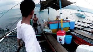 Wow Grabe Ang Jackpot sa mga Mamahaling Isadang Huli fishing fish viralvideo [upl. by Fong]