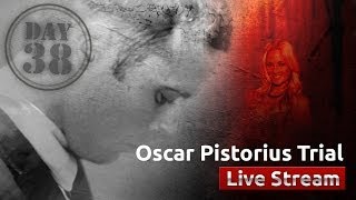 Oscar Pistorius Trial Day 38 [upl. by Ayat998]