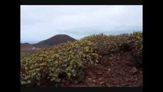 Ruta Los Volcanes de la Isleta la Montaña del Vigía Las Palmas de Gran Canaria [upl. by Toddy816]