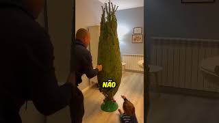 Este homem traz uma árvore de Natal e a decora com seus filhos 🥰 [upl. by Llenrrad]