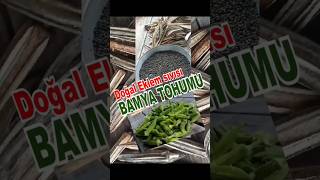 BAMYA TOHUMU DOĞAL EKLEM SIVISI Okra SEED NATURAL JOINT FLUID [upl. by Ateikan]