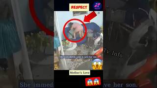 Greatest save short status humanity shortsfeed youtubeshorts respect [upl. by Burgener749]