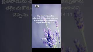 Gods message for youee lokam oka mayani thelusukunnanu songjesusalwayswithyou [upl. by Auria]